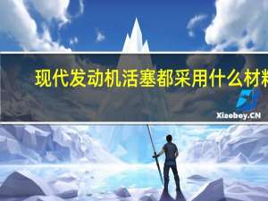 现代发动机活塞都采用什么材料