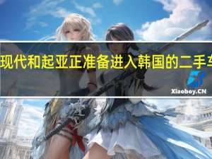 现代和起亚正准备进入韩国的二手车业务