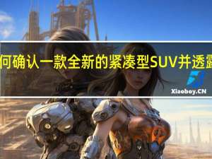 现代汽车如何确认一款全新的紧凑型SUV并透露它将名称Venue