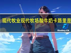 现代牧业 现代牧场 酸牛奶卡路里是多少
