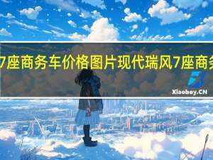 现代瑞风7座商务车价格图片 现代瑞风7座商务车价格是多少