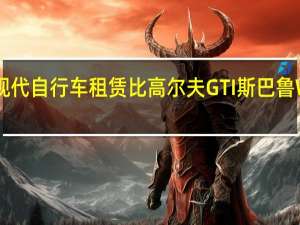 现代自行车租赁比高尔夫GTI斯巴鲁WRX贵