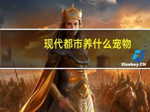 现代都市养什么宠物