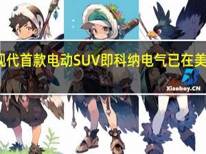 现代首款电动SUV即科纳电气已在美国上市