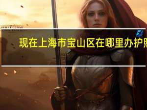 现在上海市宝山区在哪里办护照