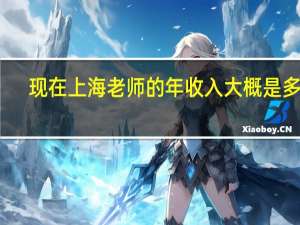 现在上海老师的年收入大概是多少