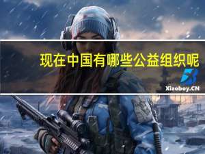 现在中国有哪些公益组织呢