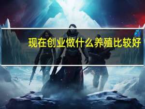 现在创业做什么养殖比较好（现在创业做什么行业好）