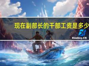 现在副部长的干部工资是多少