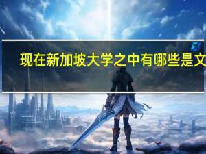 现在新加坡大学之中有哪些是文科，哪些是理科