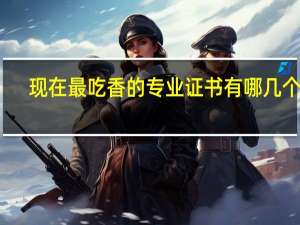 现在最吃香的专业证书有哪几个啊