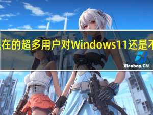 现在的超多用户对Windows11还是不感冒的