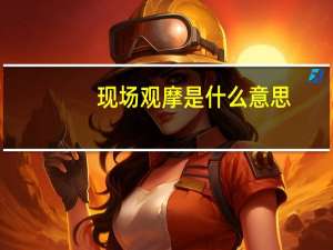 现场观摩是什么意思