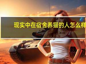 现实中在宿舍养猫的人怎么样