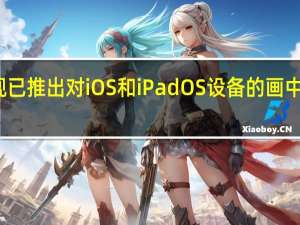现已推出对iOS和iPadOS设备的画中画支持