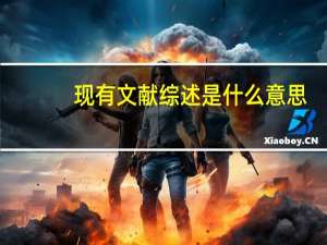 现有文献综述是什么意思（文献综述是什么意思）