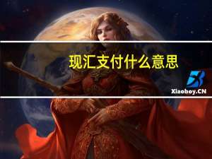 现汇支付什么意思