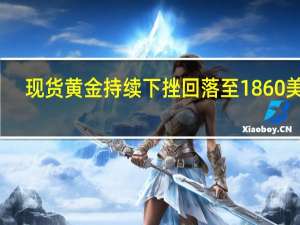现货黄金持续下挫回落至1860美元/盎司下方日内跌0.80%