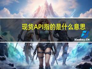 现货API指的是什么意思