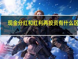 现金分红和红利再投资有什么区别