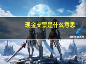 现金支票是什么意思