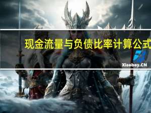 现金流量与负债比率计算公式（现金流动负债比率公式是什么）