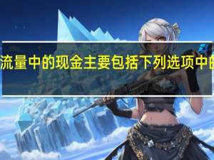 现金流量中的现金主要包括下列选项中的哪些内容
