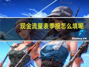 现金流量表季报怎么填呢