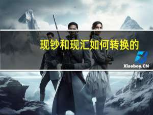 现钞和现汇如何转换的