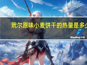 玳尔 原味小麦饼干的热量是多少