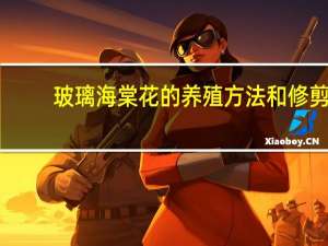玻璃海棠花的养殖方法和修剪