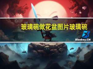 玻璃碗做花盆图片 玻璃碗