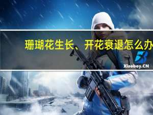 珊瑚花生长、开花衰退怎么办