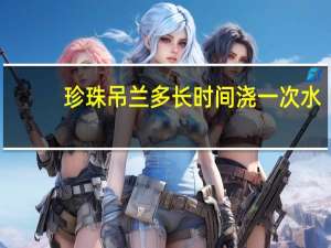 珍珠吊兰多长时间浇一次水