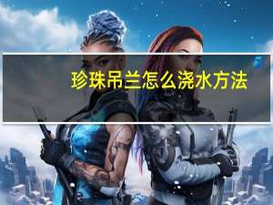 珍珠吊兰怎么浇水方法