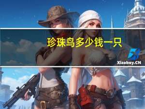 珍珠鸟多少钱一只