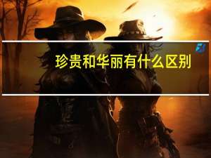 珍贵和华丽有什么区别