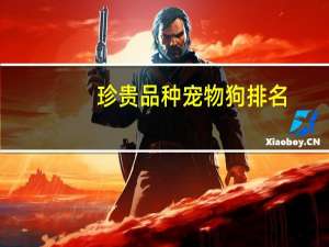 珍贵品种宠物狗排名