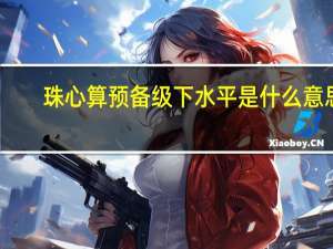 珠心算预备级下水平是什么意思