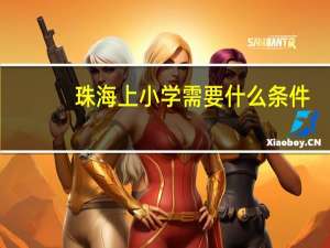 珠海上小学需要什么条件