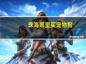 珠海哪里买宠物狗