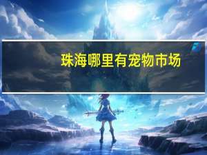 珠海哪里有宠物市场