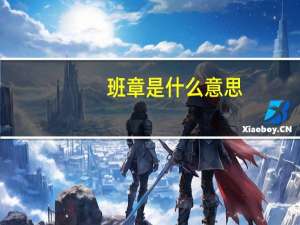 班章是什么意思