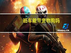 班车能带宠物狗吗