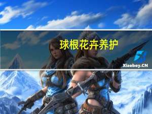 球根花卉养护：想养好球根花卉