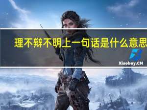 理不辩不明上一句话是什么意思呀