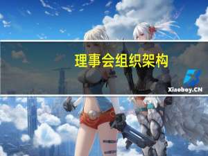 理事会组织架构（理事会）