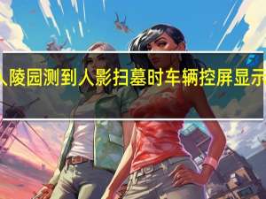 理想回应又有车在无人陵园测到人影 扫墓时车辆控屏显示两人一车当事人称周围无人