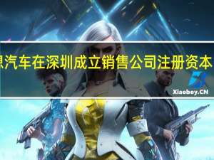 理想汽车在深圳成立销售公司注册资本1000万元