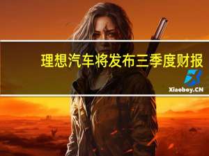 理想汽车将发布三季度财报 - 快手点赞一分钟100个 快手网站刷业务接单平台